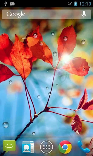 Rains Live Wallpaper screenshot 1