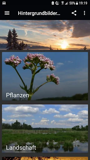 Hintergrundbilder