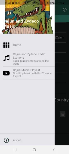 Cajun & Zydeco Music Radio
