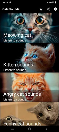 Cats sounds