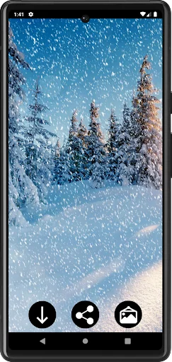 Winter Wallpapers