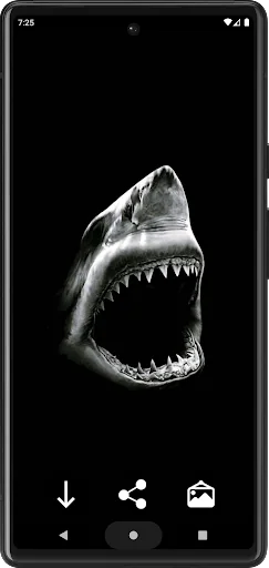 Shark Wallpapers