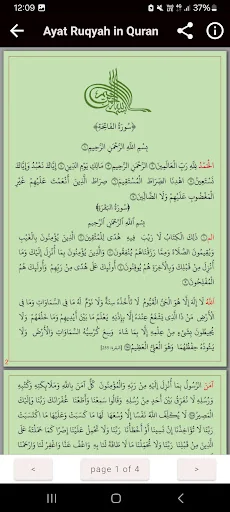 Ruqyah Shariah Full MP3 screenshot 3