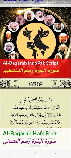Surah Al Baqarah MP3 Offline screenshot 3