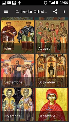 Calendar Crestin Ortodox screenshot 4