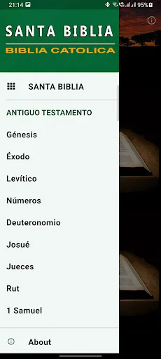 Santa Biblia Católica