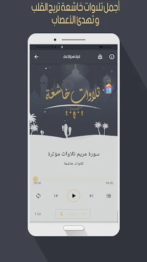 تلاوات خاشعة  بدون أنترنت screenshot 3