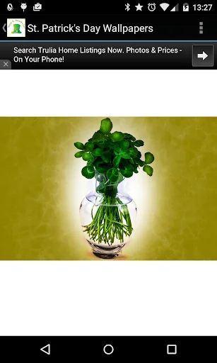 St. Patrick's Day Wallpapers screenshot 2
