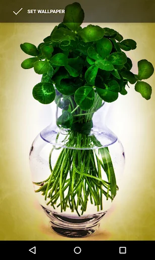 St. Patrick's Day Wallpapers screenshot 4