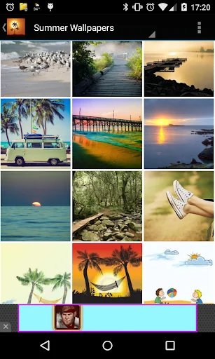 Summer Wallpapers