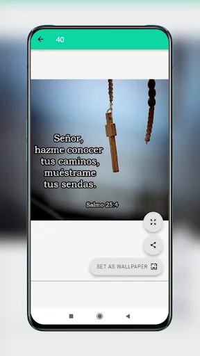 Frases y Citas Bíblicas screenshot 2