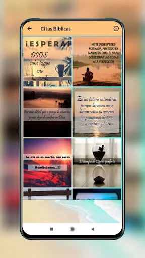 Frases y Citas Bíblicas screenshot 4