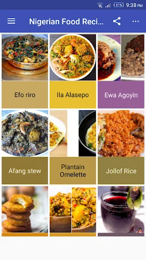 Nigerian Food Recipes