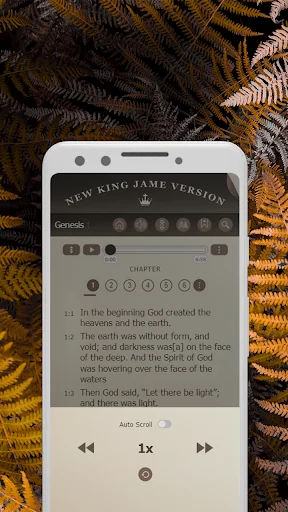 Holy Bible NKJV - Study Online screenshot 4