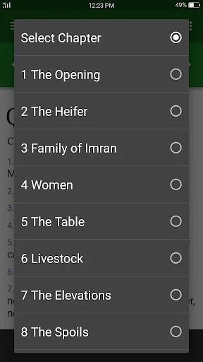 Quran In English Audio screenshot 3