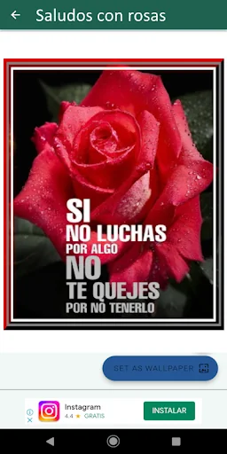 Bonitas Frases de Buenos Días.