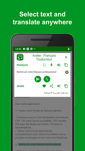 Arabic - French Translator screenshot 4