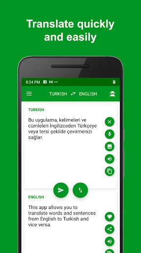 Turkish - English Translator