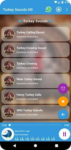Turkey Sounds HD