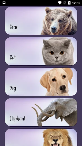 Animal Sounds