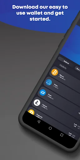 AnkerPay: Blockchain Crypto Wa