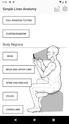 Simple Lines Anatomy