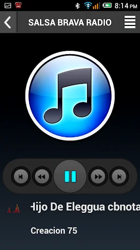 SALSA BRAVA RADIO screenshot 4
