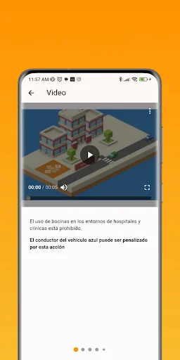 Licencia de Conducir RD screenshot 2
