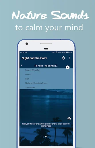 Night and the Calm