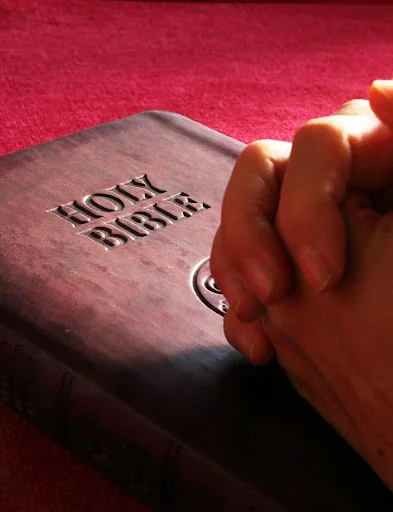 The Holy Bible English Offline screenshot 1