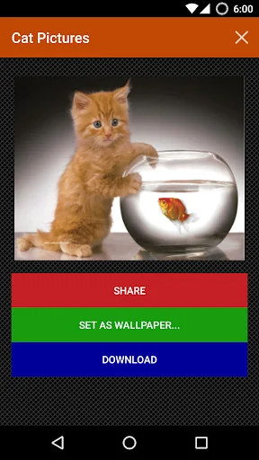 Cat wallpapers and funny pics screenshot 2