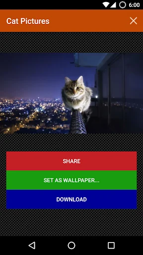 Cat wallpapers and funny pics screenshot 4