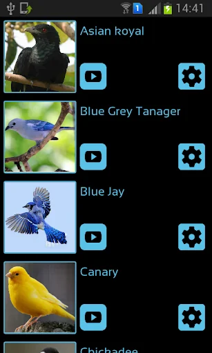 Bird Sounds & Ringtones