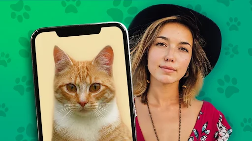 Kitten: what cat are you? joke screenshot 1