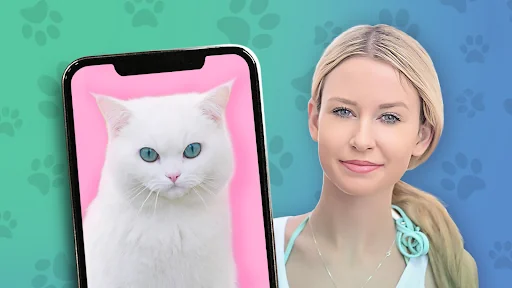 Kitten: what cat are you? joke screenshot 2