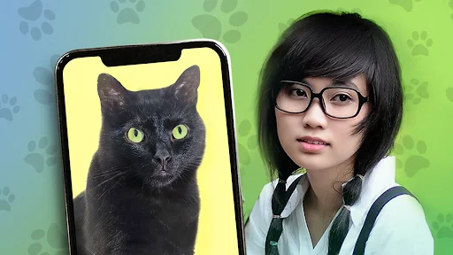 Kitten: what cat are you? joke screenshot 3
