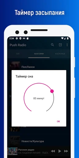 Push Radio online screenshot 3