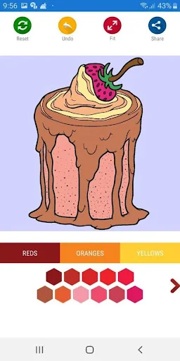 Coloring - Book For Adults