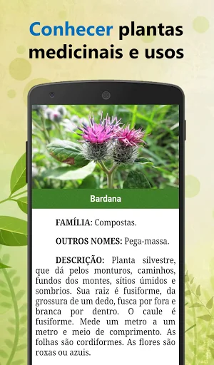 Plantas Medicinais e seus usos