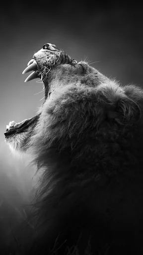 Lion Wallpapers HD screenshot 2