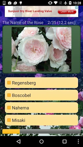 The Name of the Rose Quiz