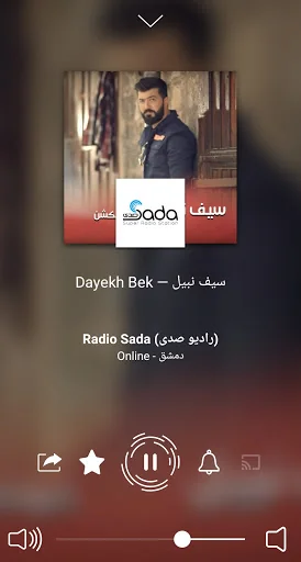 Radio Arabic screenshot 4