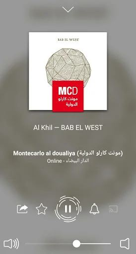 Radio Egypt - Radio FM screenshot 2