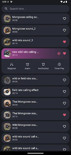 Mongoose and Bandicoot Sounds