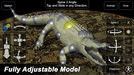 Crocodile Mannequin