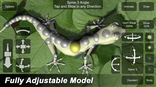 Gecko Mannequin