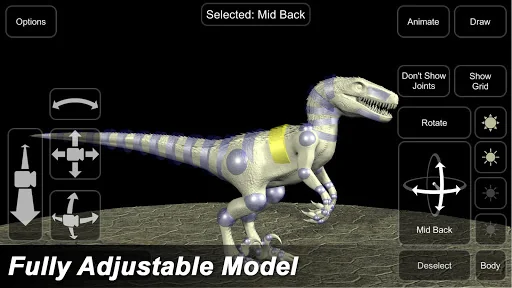 Raptor Mannequin