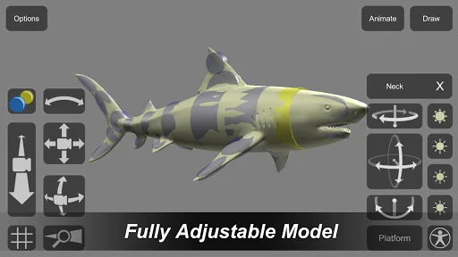 Shark Mannequin