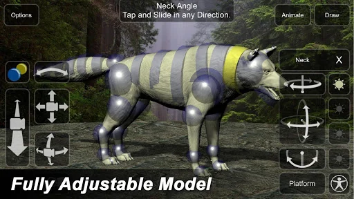 Wolf Mannequin