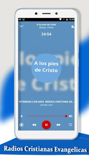 Radio Cristianas Evangelicas screenshot 3